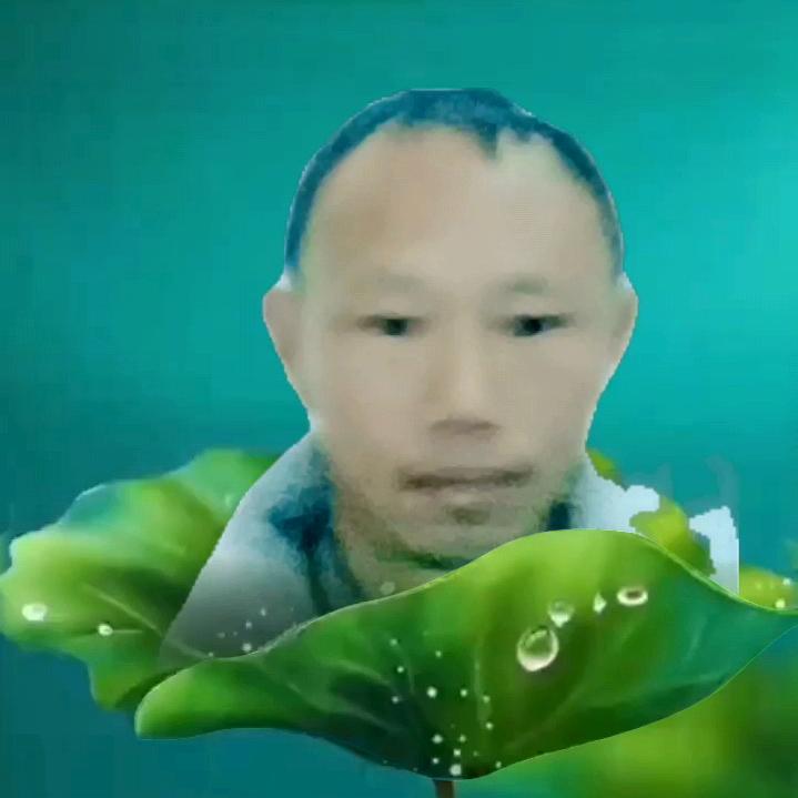 福恩满满