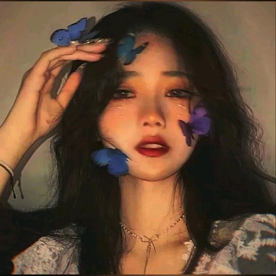 琴哥、🌸