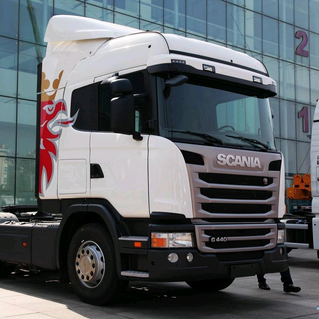 （小斯）带我搞致富