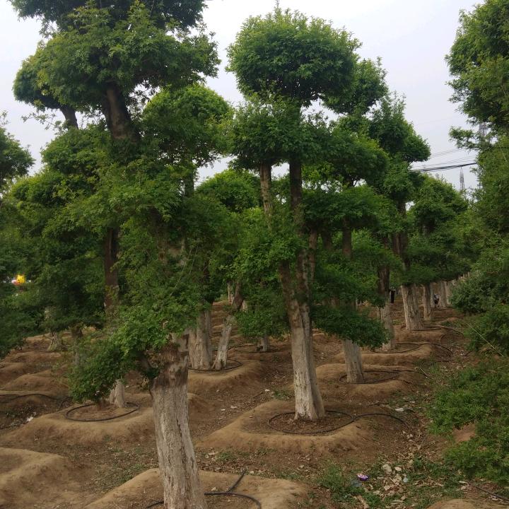 有缘人