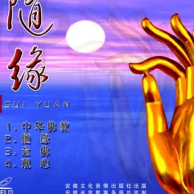 菩提缘折纸