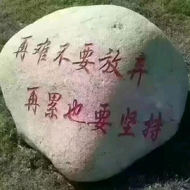美人鱼🐠