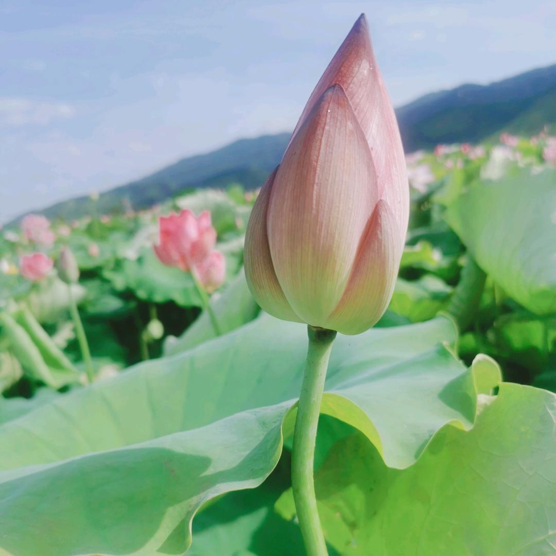 佛然