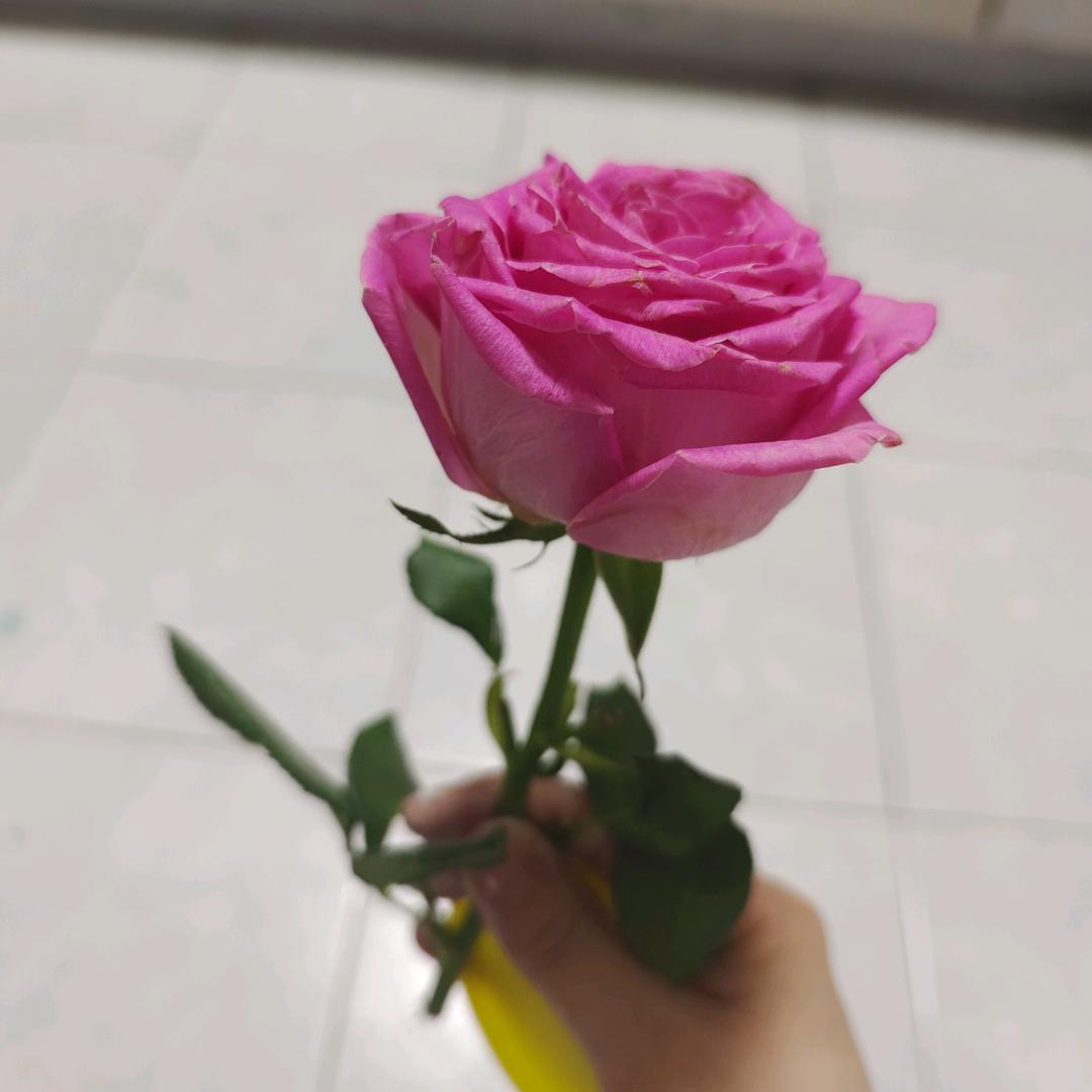 小天才(扬州五彩世界店)