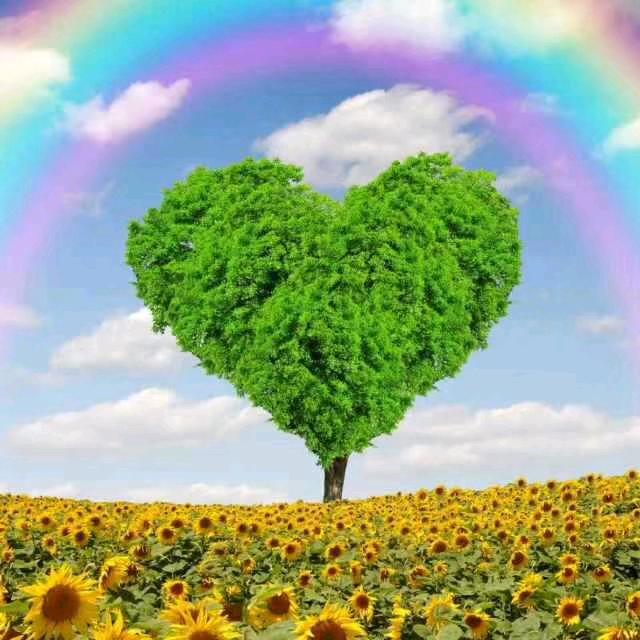 封心锁爱💖🍂✨