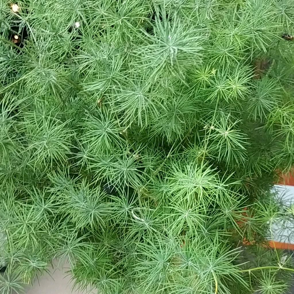来发福利