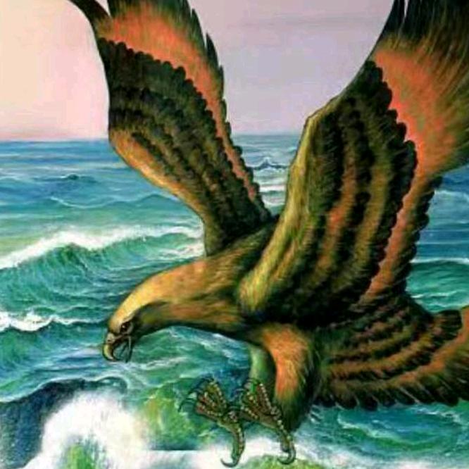 猎鹰洛阳爱多步鞋智能穿戴全国招商🔥🔥