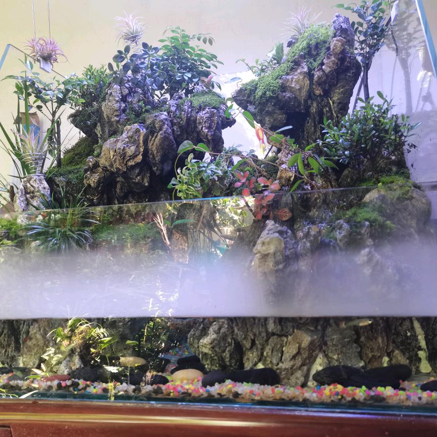 爱尚《盆景庄材》