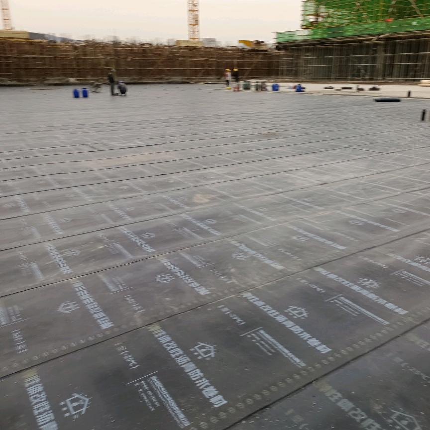 邱军科专业防水