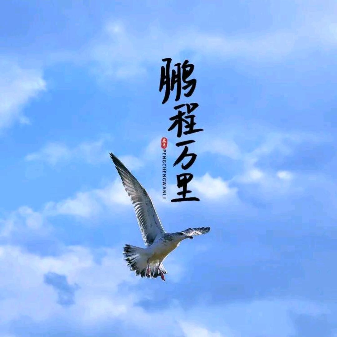 @兵哥