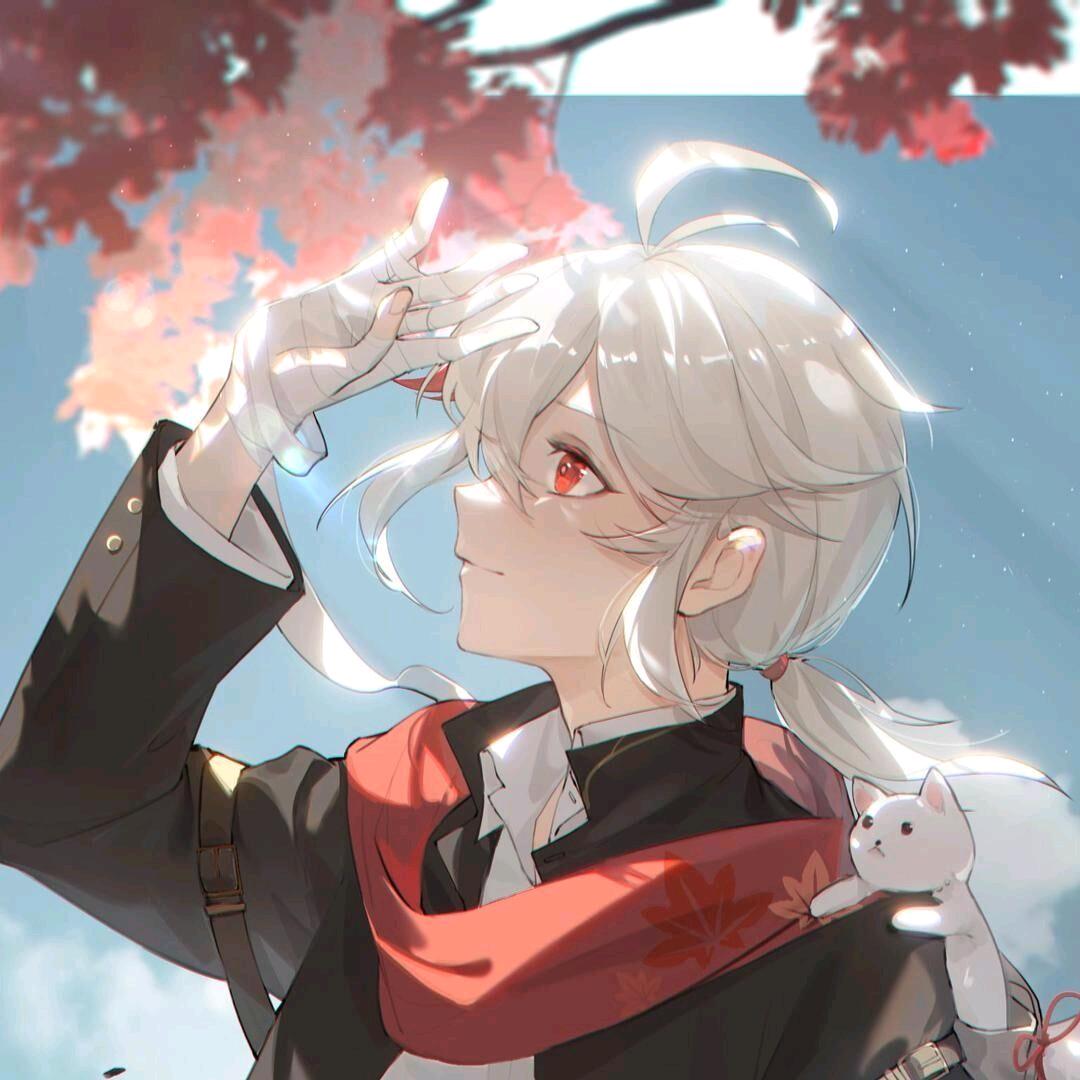 bu知道
