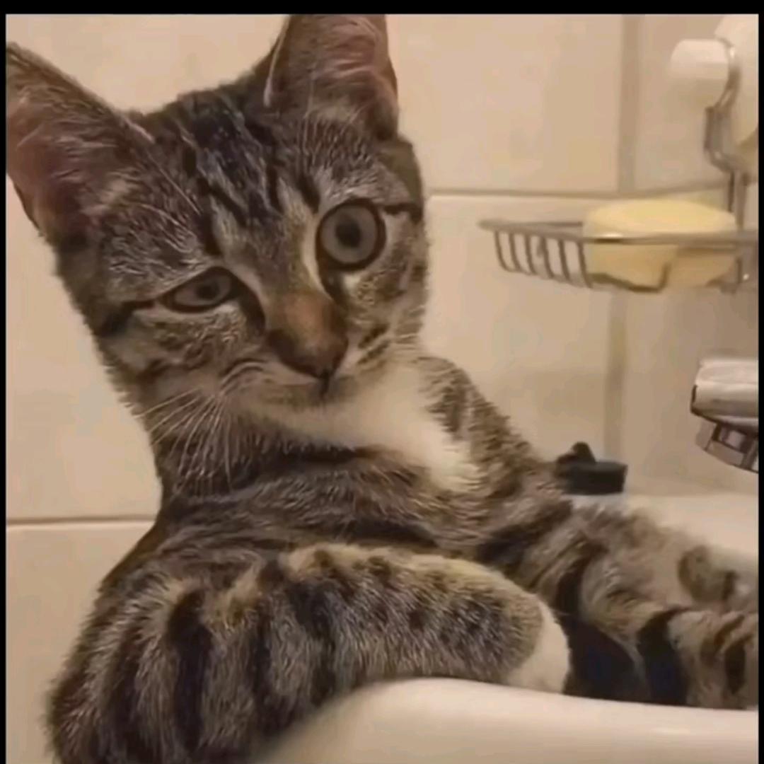 蟹老板想过六级