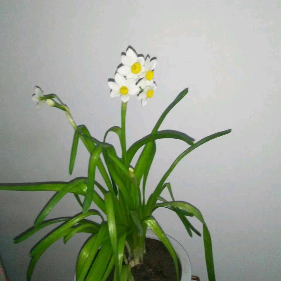 段氏蔬菜批发零售