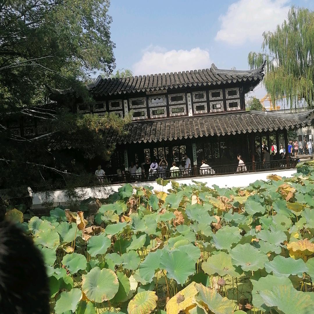 简单是一种幸福