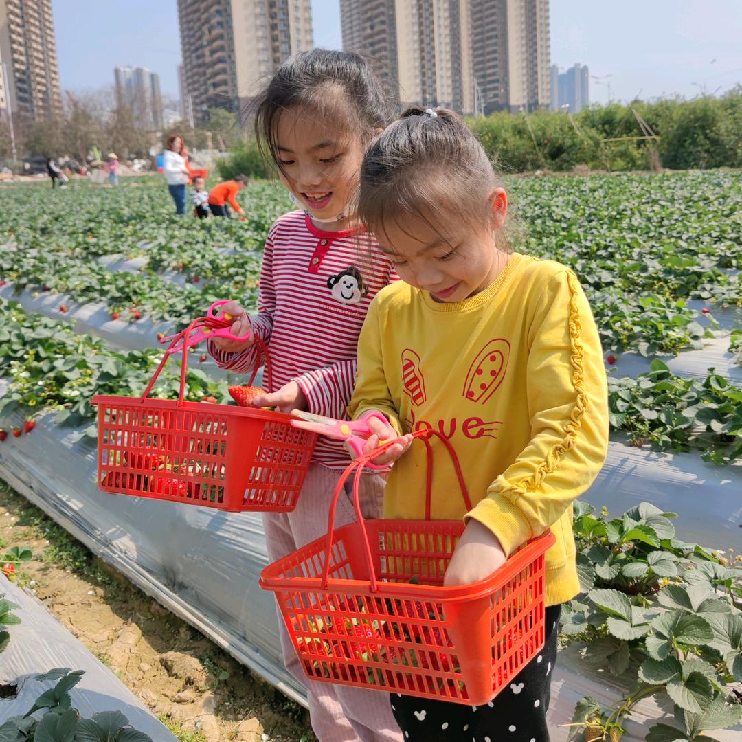 用户8764615795008香香儿