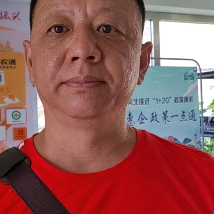 凤凰涅槃宁