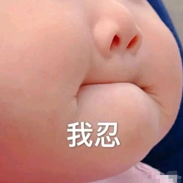 一天三顿🐷