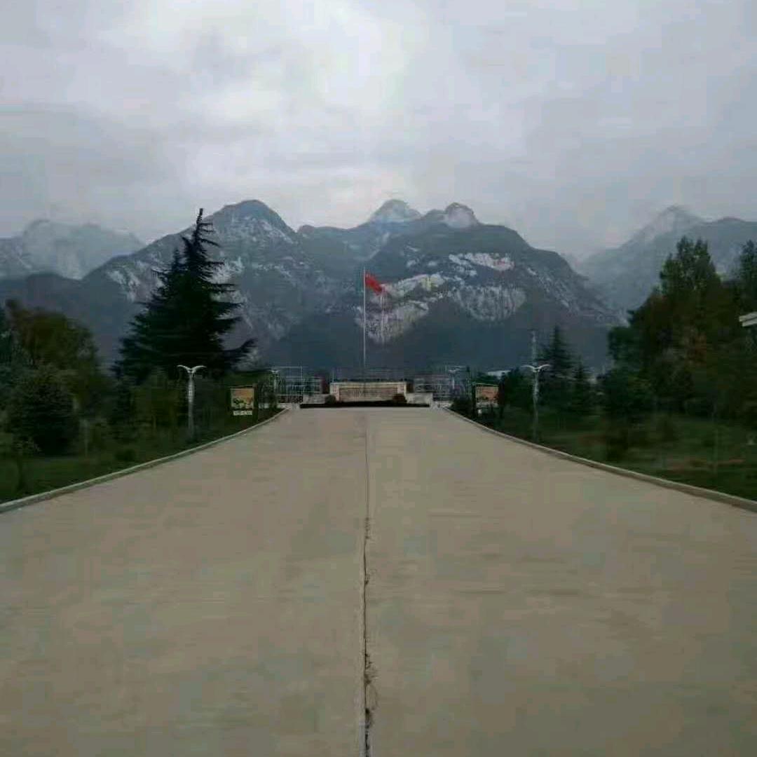 天天钓天天赔…小陈