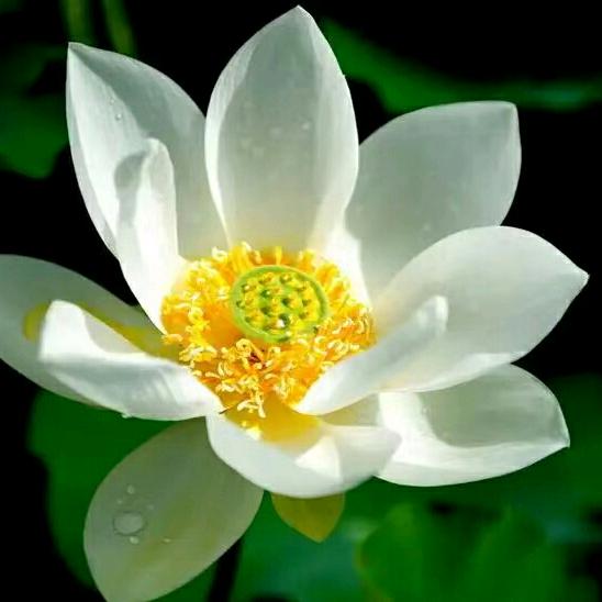 且行珍惜