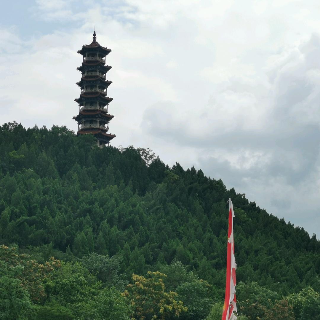 大鱼同学