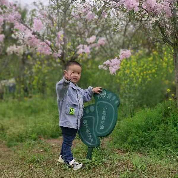 努力奋斗的宝妈