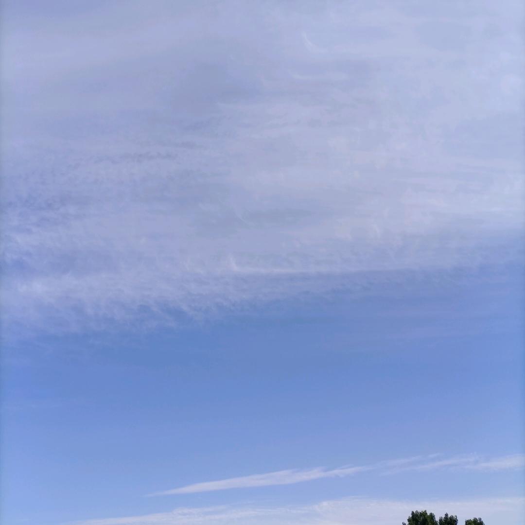 红太阳是我