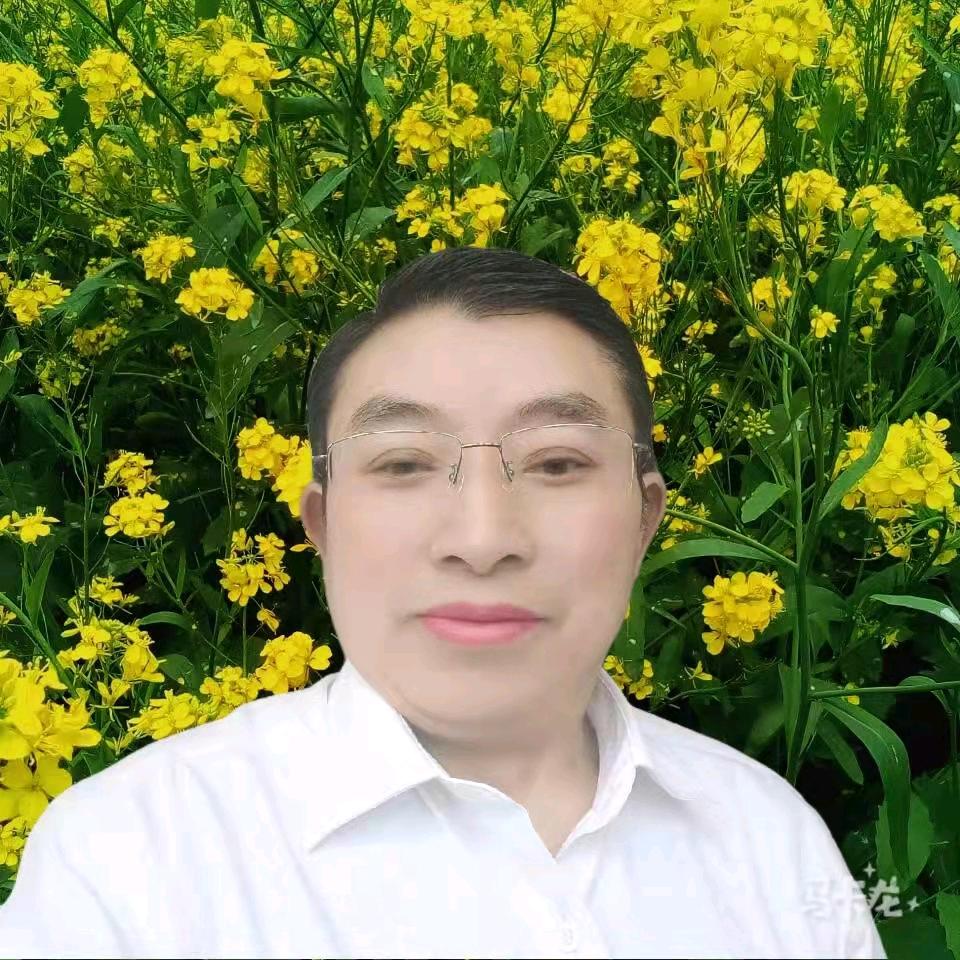海哥。刘
