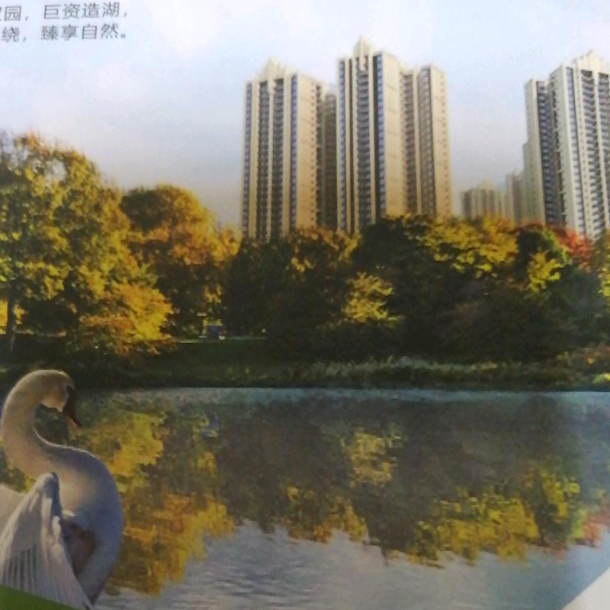 广西博白.朱