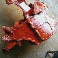 刘门柿子村：盆景根雕