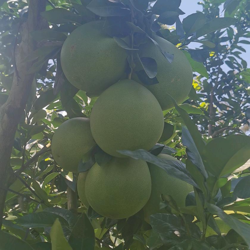 @与你无关@