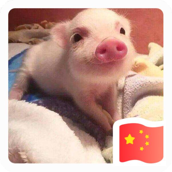 王健康668