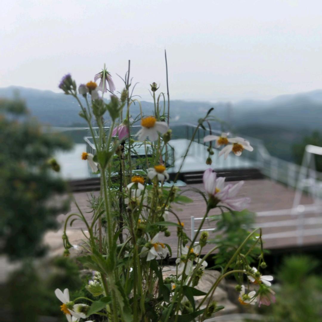 精品生活好物分享