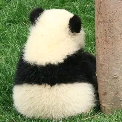 雪之蕴