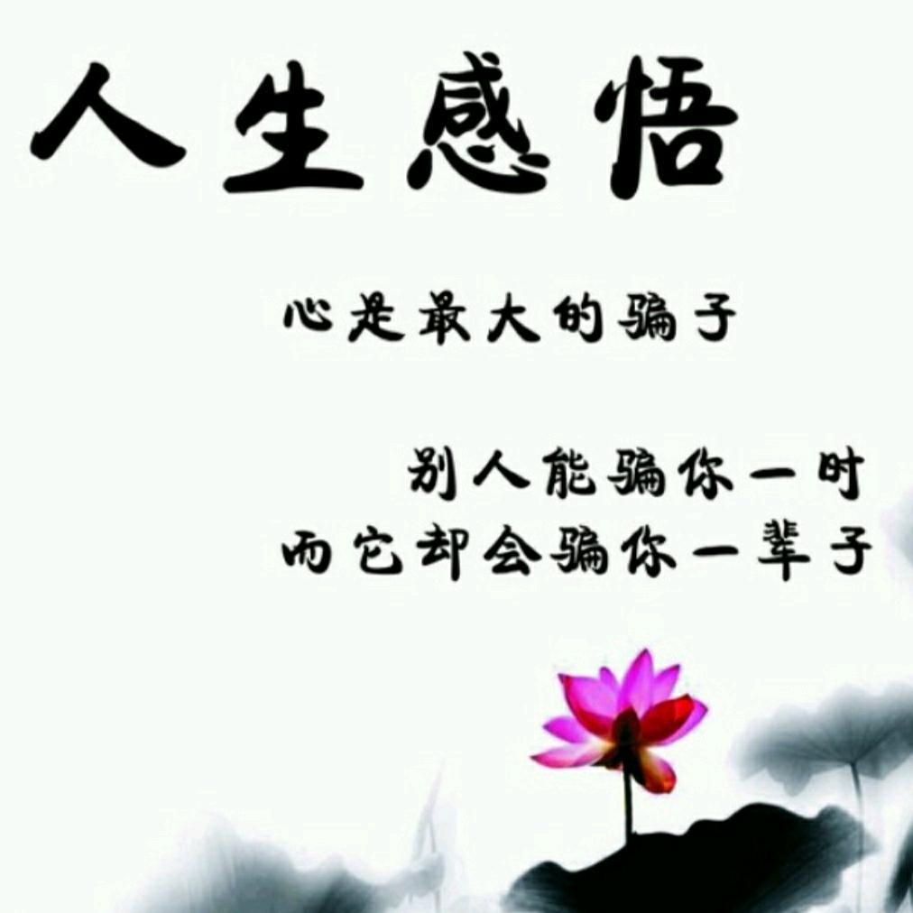 C-逝水年华
