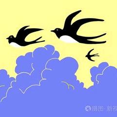 天空飞燕