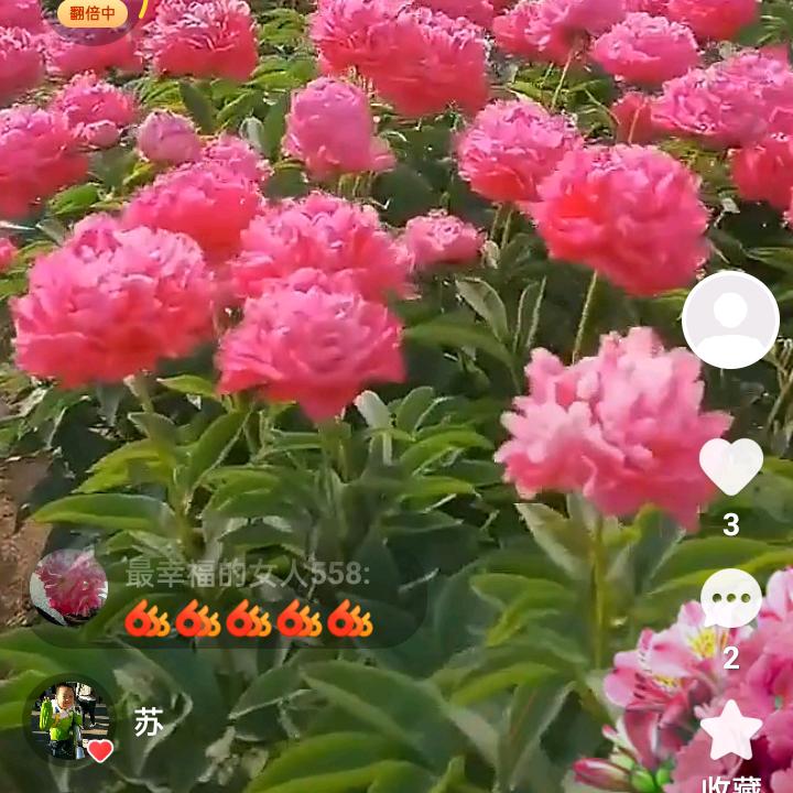 一生平安。