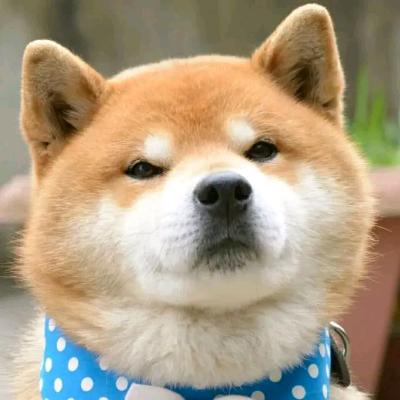 楠风