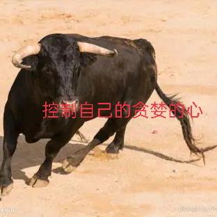 用户668823539214