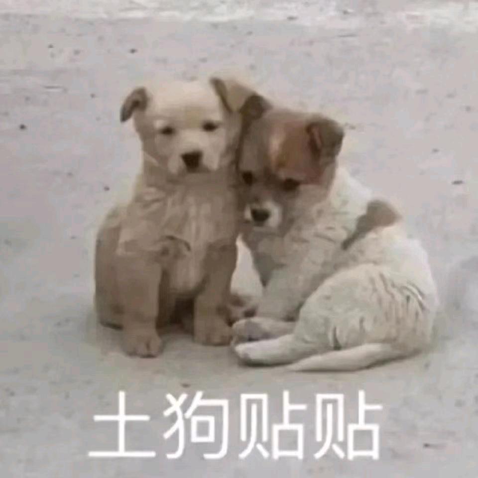 我不是故意的（免费约拍版）