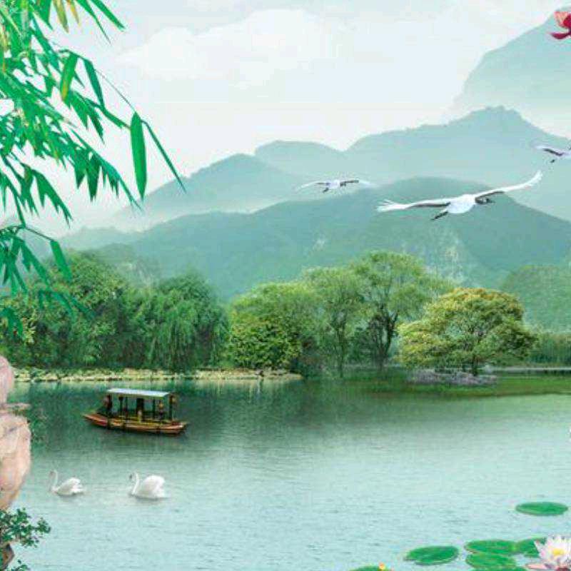 用户3623018768029海阔天空