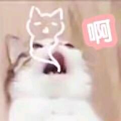 许大明白