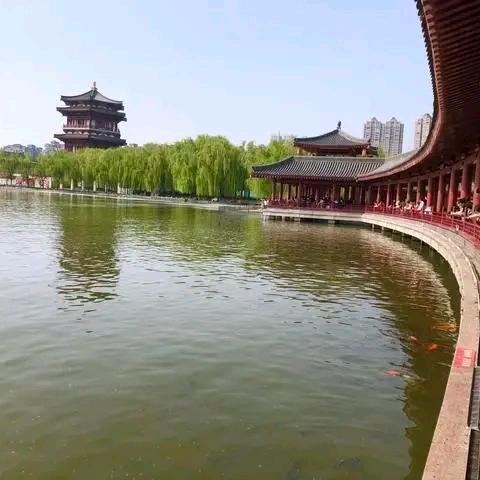 刚哥🕵️