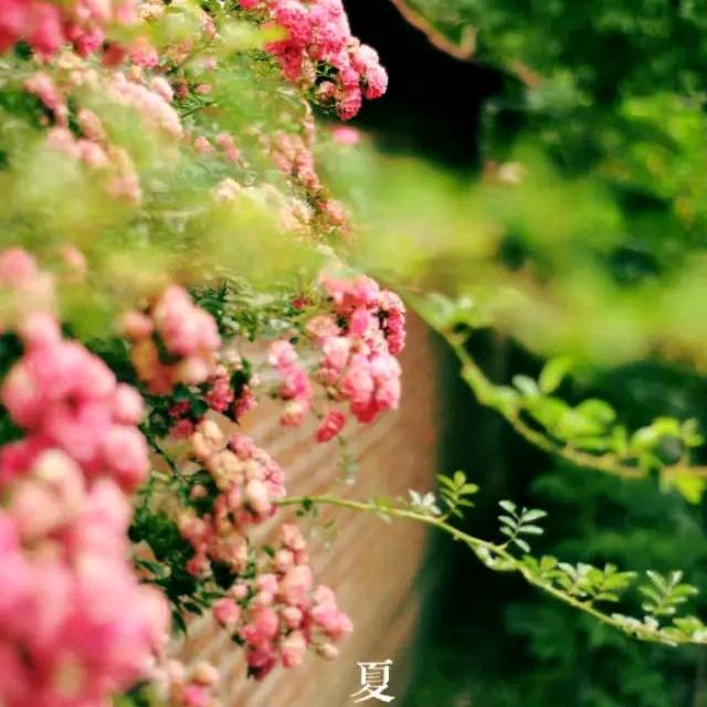 余生@不将就(∗❛ัᴗ❛ั∗)