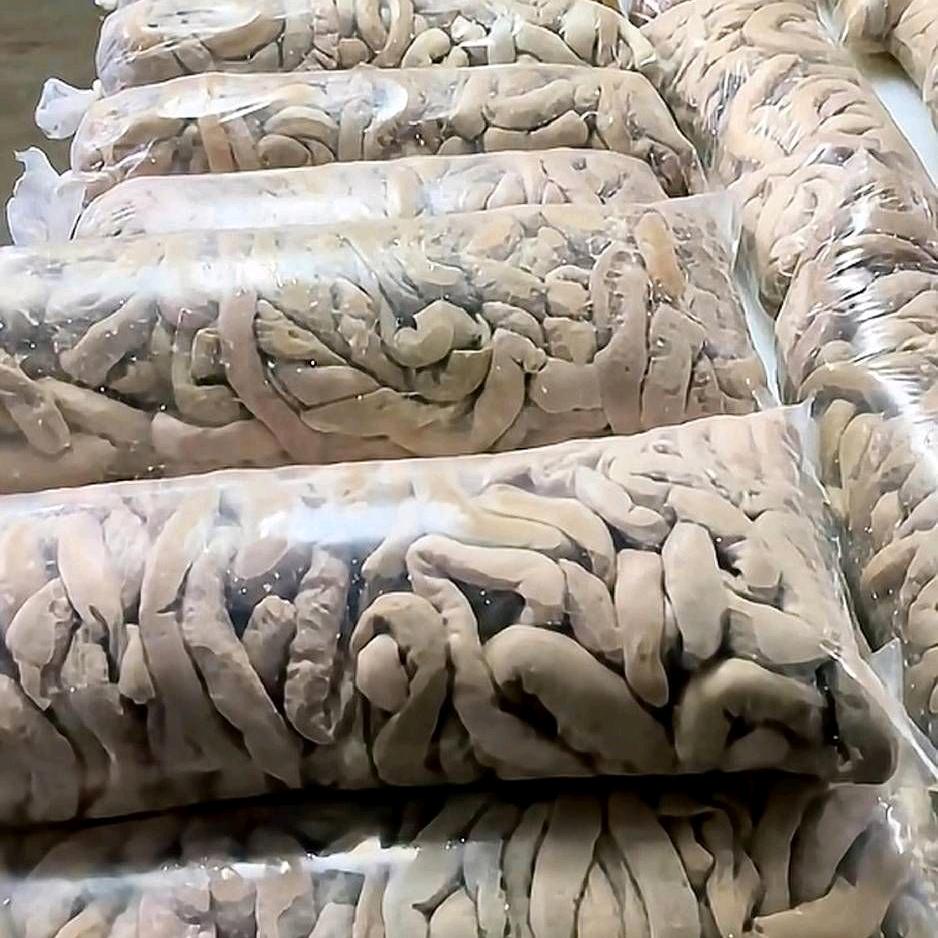 广州江高新鲜牛杂直批