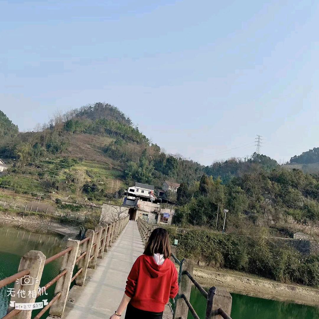 Q张鱼丸子