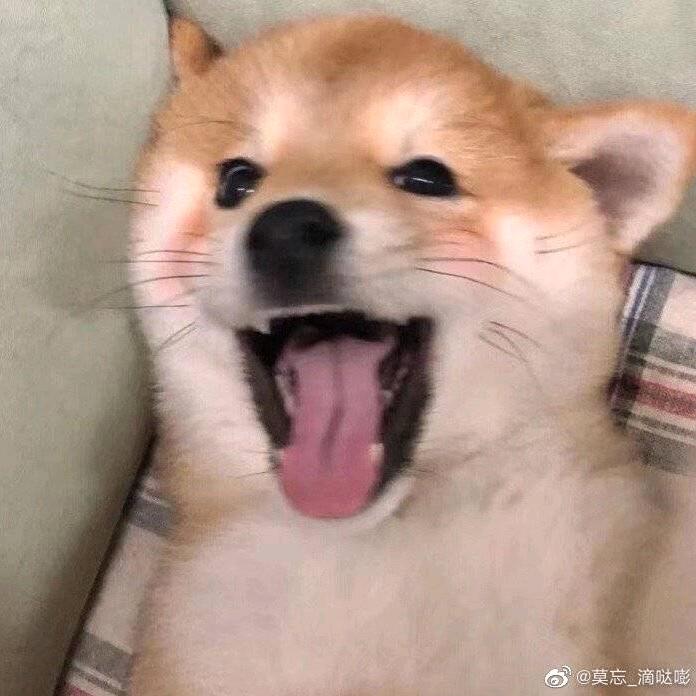 _桃子嗷_