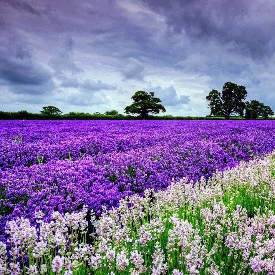 负重前行卍༒༒