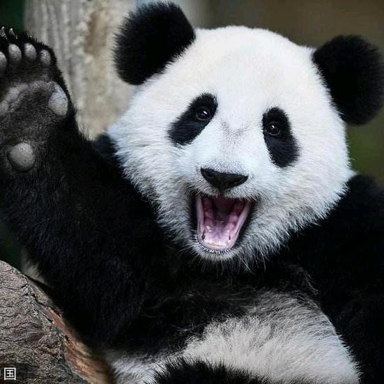 想入菲菲（七日世界）