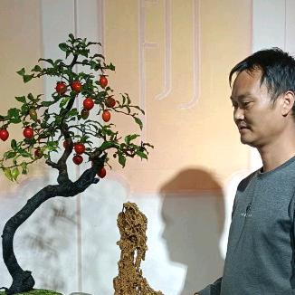 温馨花木