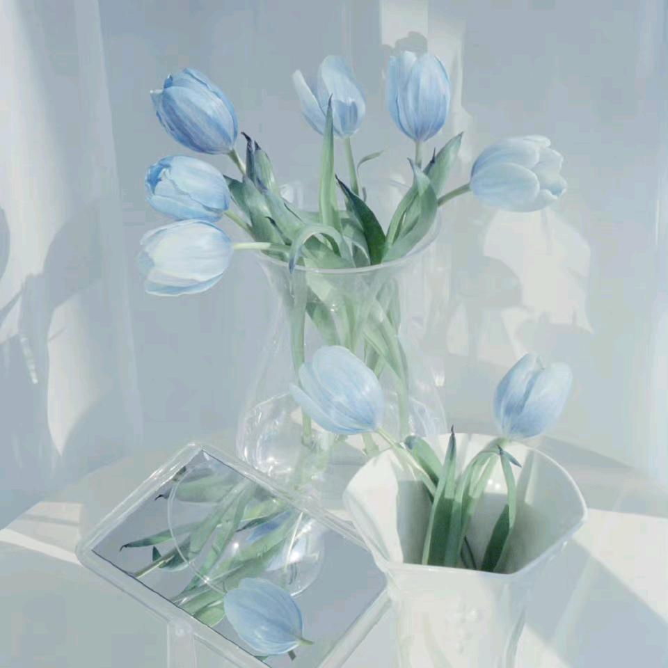 辛巴的秘境花园